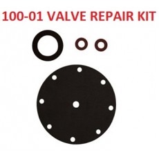 Cla-Val 4" Repair Kit 91698-13E